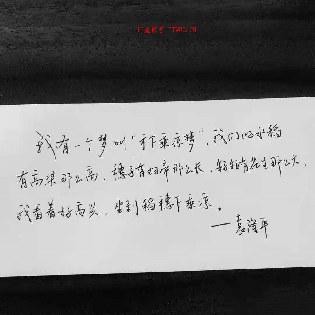巨星陨落！袁隆平因病逝世 享年91岁 中华拓荒人——袁隆平,巨星陨落！袁隆平因病逝世 享年91岁 中华拓荒人——袁隆平  教程 第1张,教程,第1张