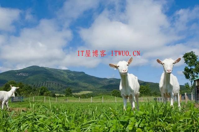 超治愈牧场写真：愿你被这世界温柔相待 ,超治愈牧场写真：愿你被这世界温柔相待  牧场 拍摄 林美纪 平林美纪 作品 新西兰 我会 照片 摄影 第8张,牧场,拍摄,林美纪,平林美纪,作品,新西兰,我会,照片,摄影,第8张