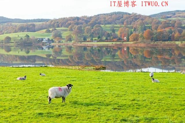 超治愈牧场写真：愿你被这世界温柔相待 ,超治愈牧场写真：愿你被这世界温柔相待  牧场 拍摄 林美纪 平林美纪 作品 新西兰 我会 照片 摄影 第2张,牧场,拍摄,林美纪,平林美纪,作品,新西兰,我会,照片,摄影,第2张