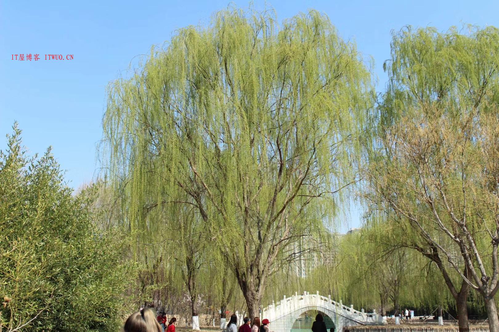 刚刚翻朋友圈旧历史 18年在植物园用单反相机拍的 来欣赏指点,刚刚翻朋友圈旧历史 18年在植物园用单反相机拍的 来欣赏指点  第5张,第5张