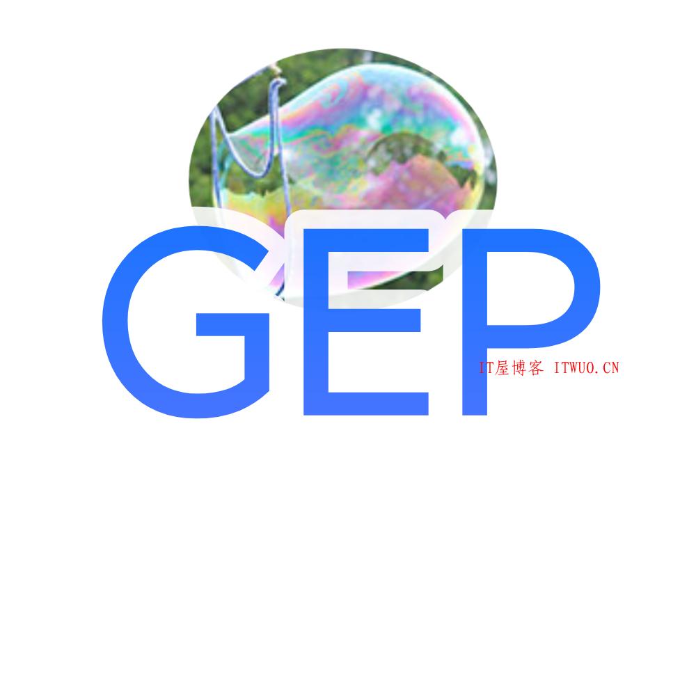 GEP全解源码