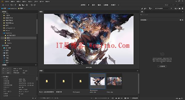 Adobe Bridge 2020 v10.0.1.126 免激活完美破解版