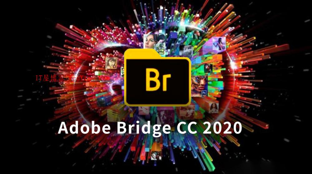 Adobe Bridge for Mac 2020 v10.0.1.126 中文直装激活版