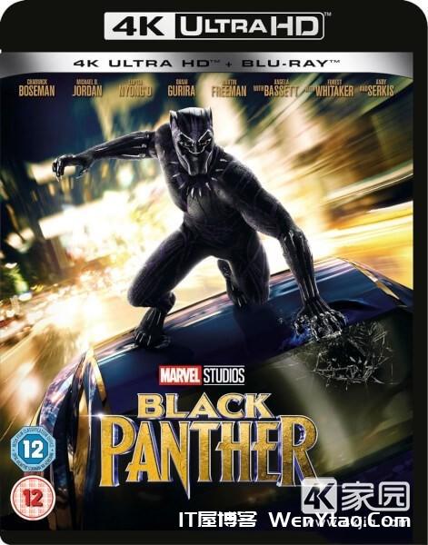 美影动作/科幻 黑豹 Black Panther (2018)「4K UHD 蓝光破解版」,美影动作/科幻 黑豹 Black Panther (2018)「4K UHD 蓝光破解版」,黑豹漫威,黑豹,黑豹电影,金属,美国,瓦坎达,外国,故事,第1张