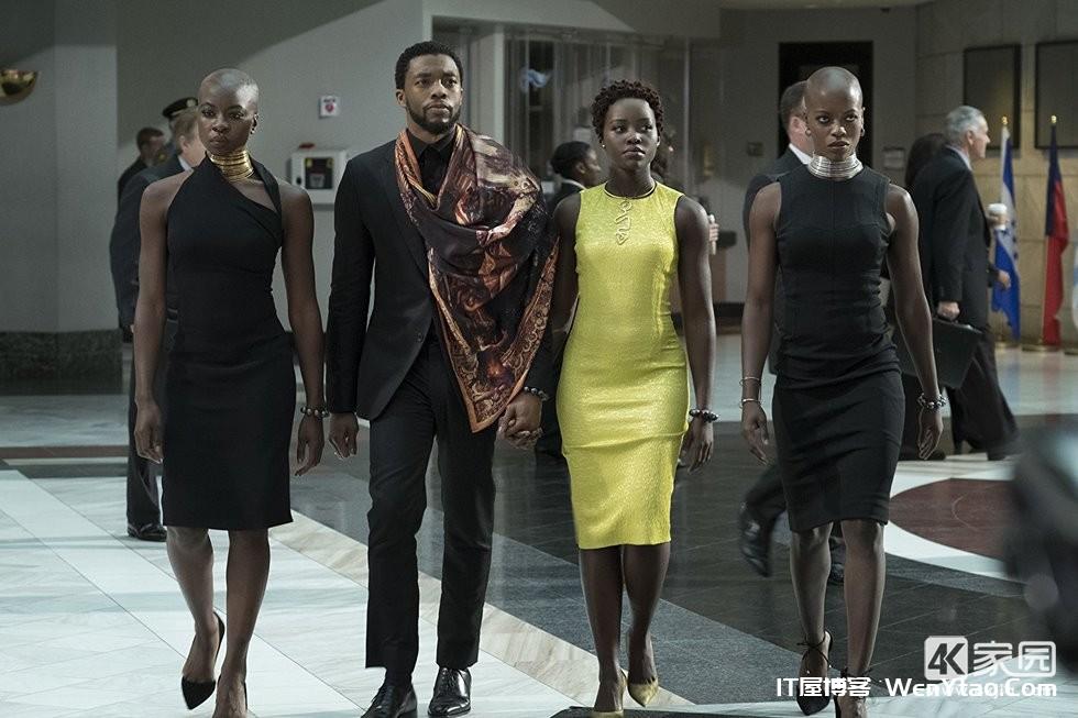 美影动作/科幻 黑豹 Black Panther (2018)「4K UHD 蓝光破解版」,美影动作/科幻 黑豹 Black Panther (2018)「4K UHD 蓝光破解版」,黑豹漫威,黑豹,黑豹电影,金属,美国,瓦坎达,外国,故事,第2张
