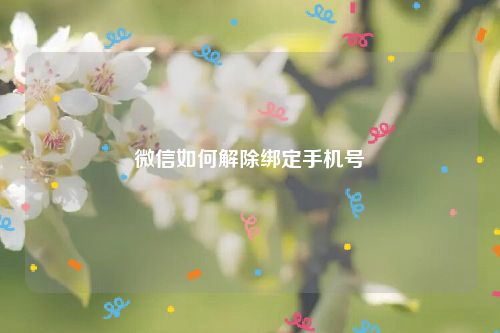 微信如何解除绑定手机号?,教程,手机,方法,程序,软件,文章,第1张 微信如何解除绑定手机号?,1bbd04ec66da3fc3e7bcef40a124b308.jpg,教程,手机,方法,程序,软件,文章,第1张